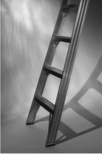 ladder